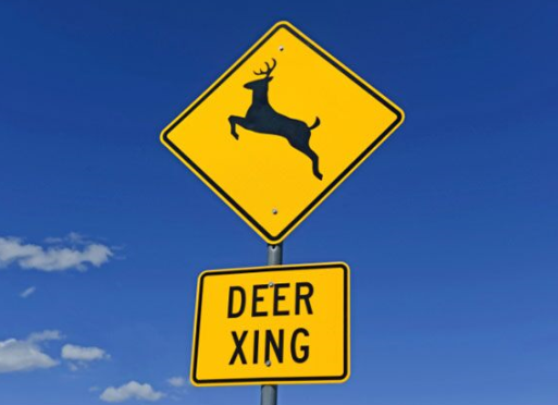 deer4.png